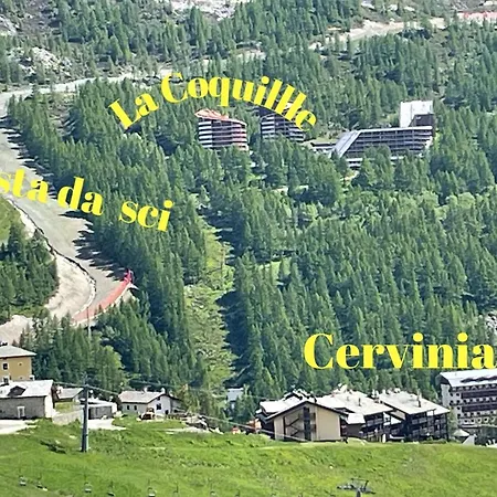 Coquille Cielo Alto Cervinia Apartment *